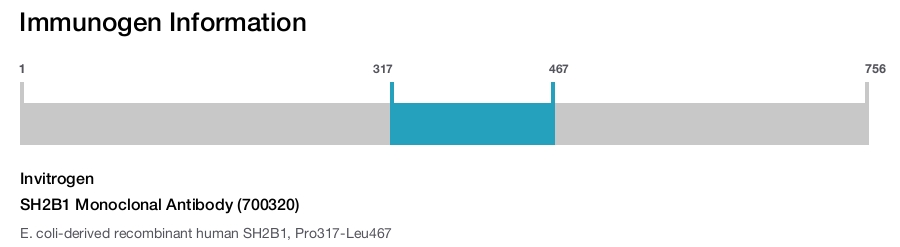 SH2B1 Monoclonal Antibody (700320)