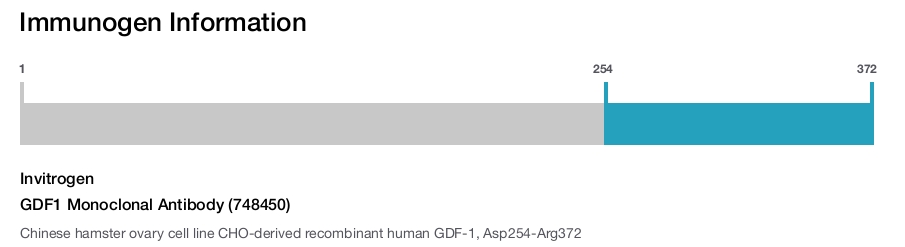 GDF1 Monoclonal Antibody (748450)
