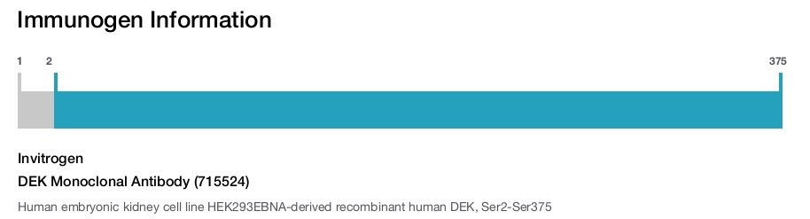 DEK Monoclonal Antibody (715524)
