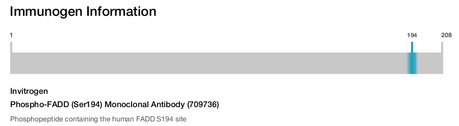 Phospho-FADD (Ser194) Monoclonal Antibody (709736)