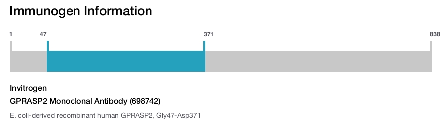 GPRASP2 Monoclonal Antibody (698742)