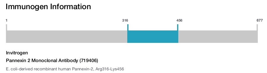 Pannexin 2 Monoclonal Antibody (719406)
