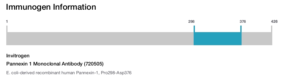 Pannexin 1 Monoclonal Antibody (720505)
