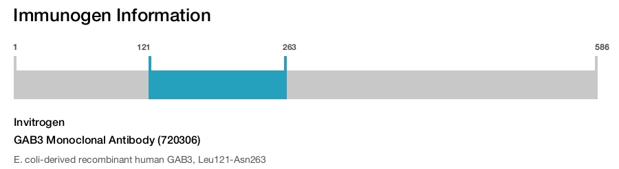 GAB3 Monoclonal Antibody (720306)