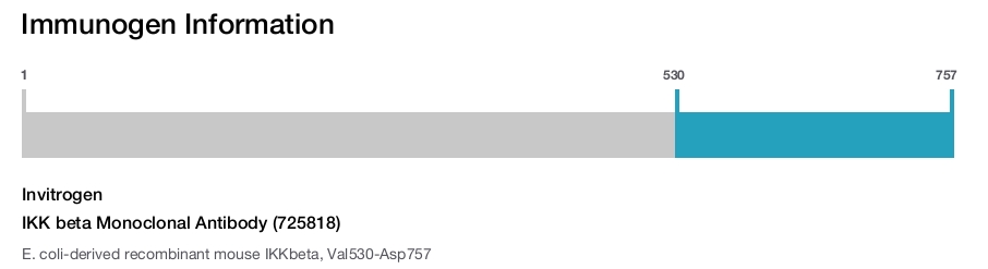 IKK beta Monoclonal Antibody (725818)