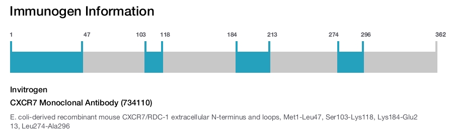 CXCR7 Monoclonal Antibody (734110)