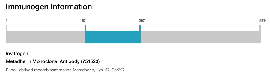 Metadherin Monoclonal Antibody (754523)