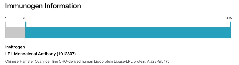 LPL Monoclonal Antibody (1012307)