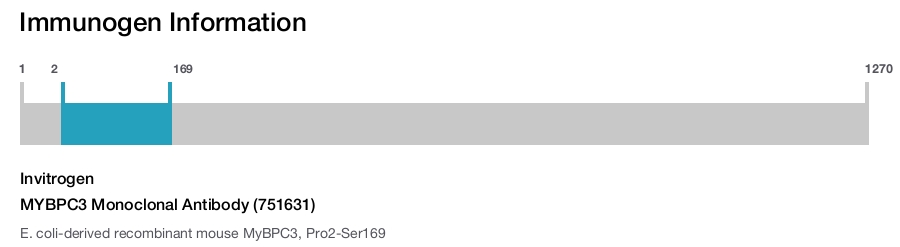 MYBPC3 Monoclonal Antibody (751631)