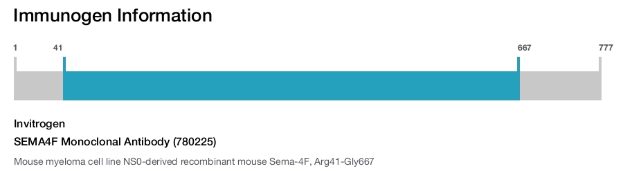 SEMA4F Monoclonal Antibody (780225)