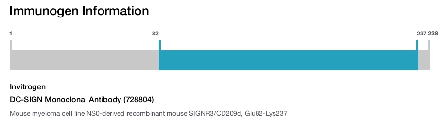 DC-SIGN Monoclonal Antibody (728804)