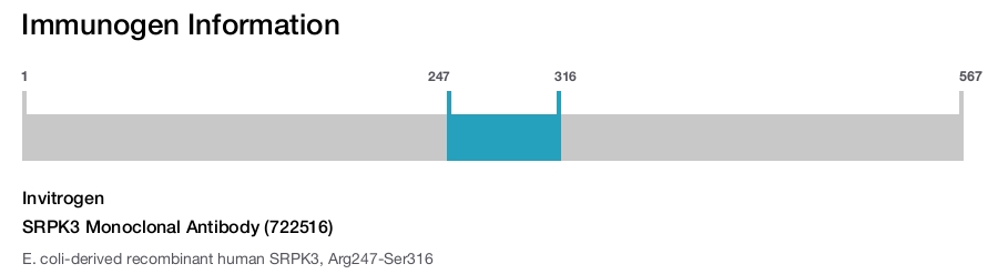 SRPK3 Monoclonal Antibody (722516)
