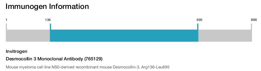 Desmocollin 3 Monoclonal Antibody (765129)