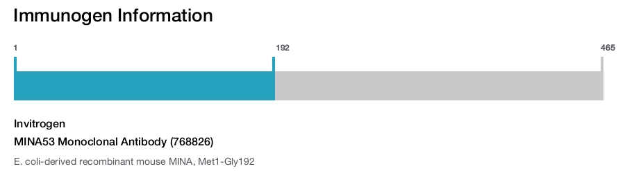MINA53 Monoclonal Antibody (768826)