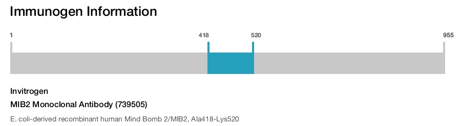MIB2 Monoclonal Antibody (739505)