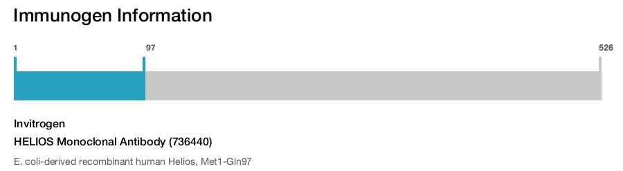 HELIOS Monoclonal Antibody (736440)