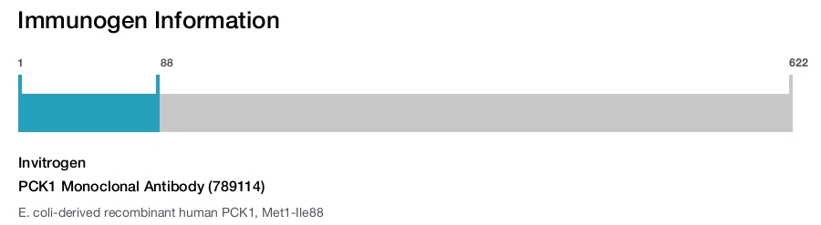 PCK1 Monoclonal Antibody (789114)