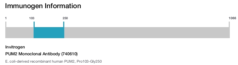 PUM2 Monoclonal Antibody (740610)