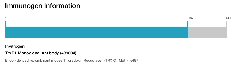 TrxR1 Monoclonal Antibody (489804)