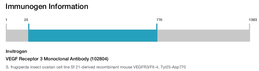 VEGF Receptor 3 Monoclonal Antibody (102804)