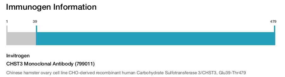 CHST3 Monoclonal Antibody (799011)