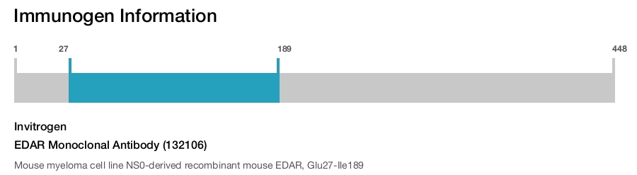 EDAR Monoclonal Antibody (132106)
