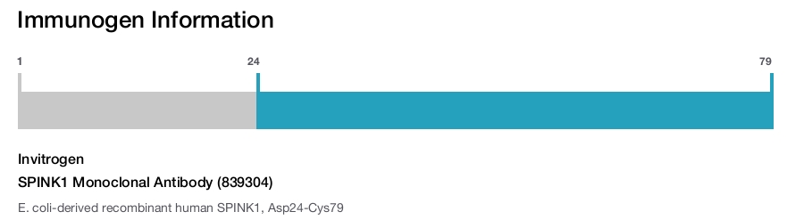 SPINK1 Monoclonal Antibody (839304)