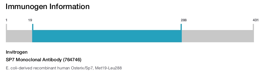 SP7 Monoclonal Antibody (764746)