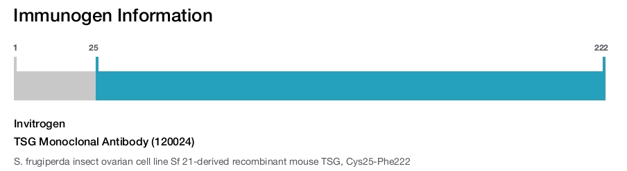 TSG Monoclonal Antibody (120024)