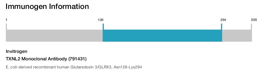 TXNL2 Monoclonal Antibody (791431)