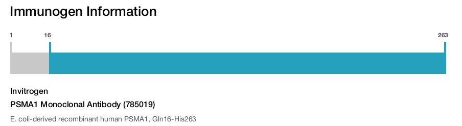 PSMA1 Monoclonal Antibody (785019)