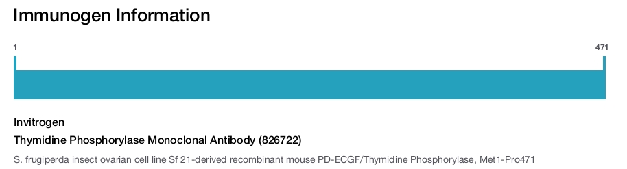 Thymidine Phosphorylase Monoclonal Antibody (826722)