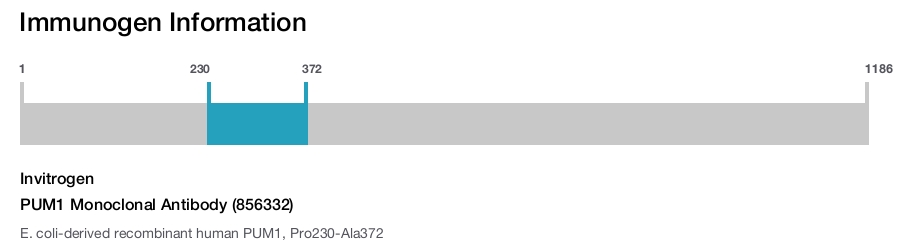 PUM1 Monoclonal Antibody (856332)