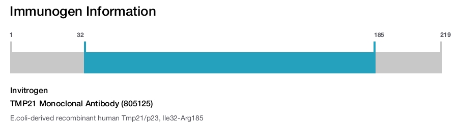 TMP21 Monoclonal Antibody (805125)