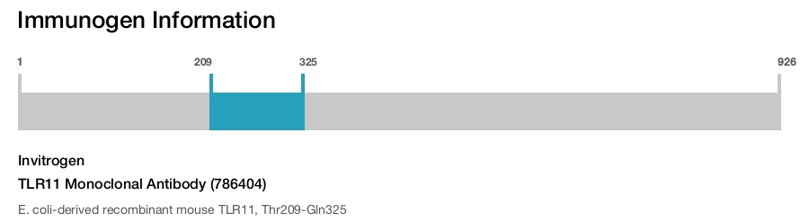 TLR11 Monoclonal Antibody (786404)