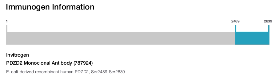 PDZD2 Monoclonal Antibody (787924)