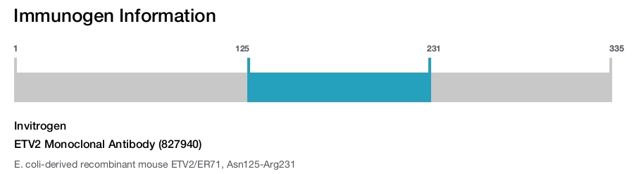 ETV2 Monoclonal Antibody (827940)