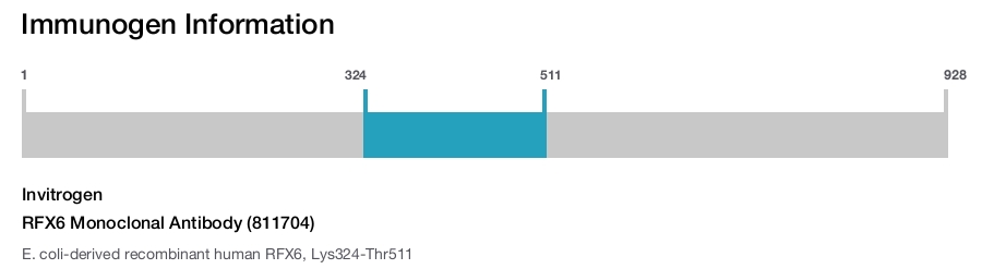 RFX6 Monoclonal Antibody (811704)