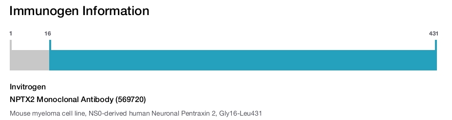 NPTX2 Monoclonal Antibody (569720)