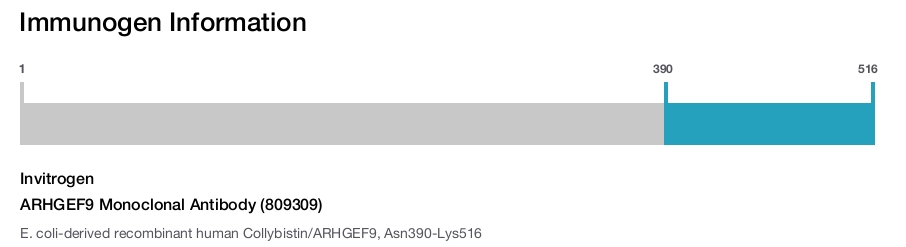 ARHGEF9 Monoclonal Antibody (809309)