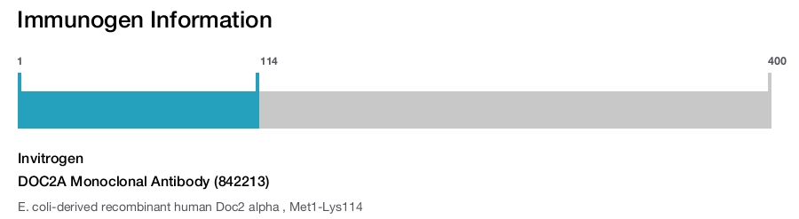 DOC2A Monoclonal Antibody (842213)