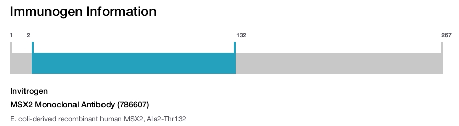 MSX2 Monoclonal Antibody (786607)