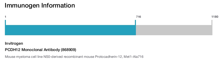 PCDH12 Monoclonal Antibody (868909)