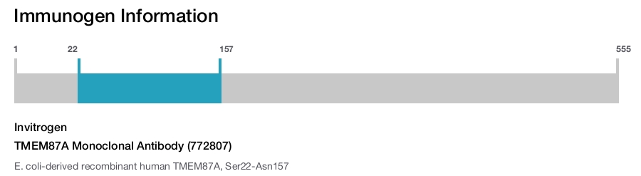 TMEM87A Monoclonal Antibody (772807)