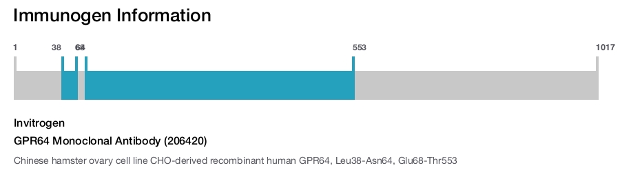 GPR64 Monoclonal Antibody (206420)