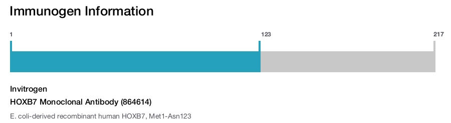 HOXB7 Monoclonal Antibody (864614)