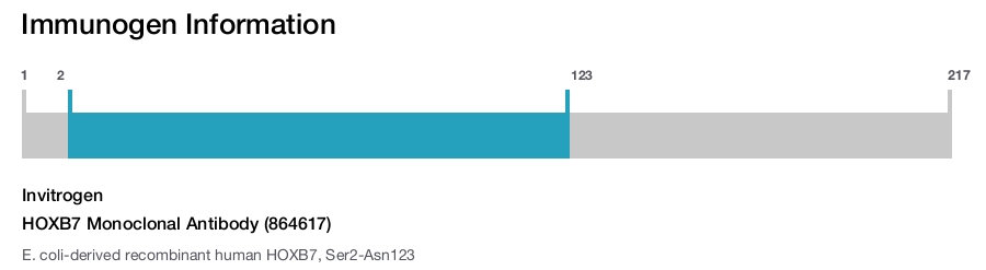 HOXB7 Monoclonal Antibody (864617)