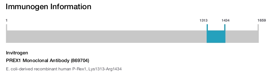 PREX1 Monoclonal Antibody (869704)