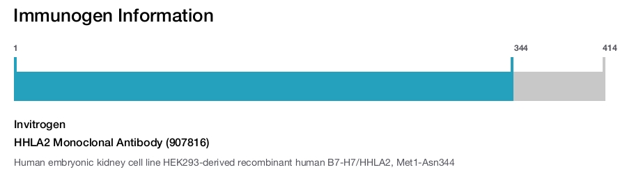 HHLA2 Monoclonal Antibody (907816)