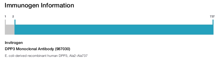 DPP3 Monoclonal Antibody (987030)
